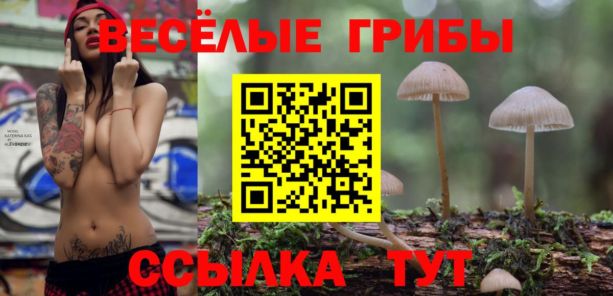 Клин  сколько стоит  Вход с VPN  Псилоцибиновые грибы GOLDEN TEACHER 